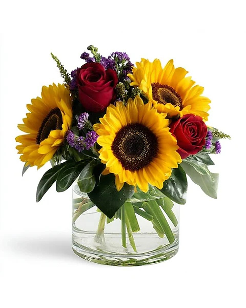 Sunfire Celebration