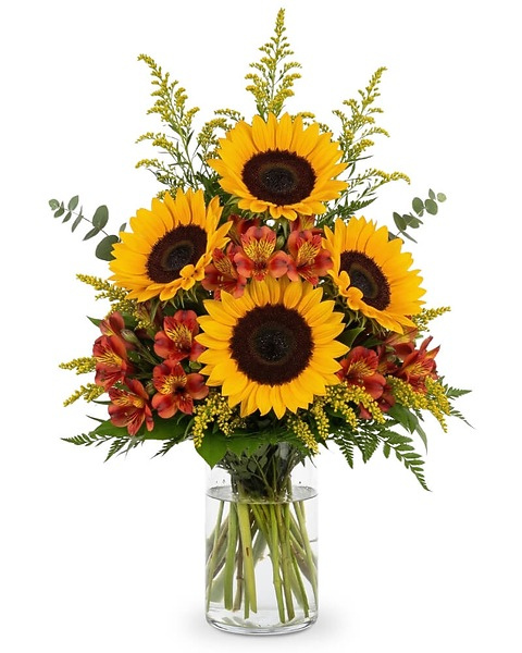 Golden Harvest Radiance