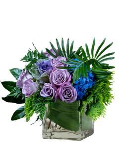 Moody Blues Delight