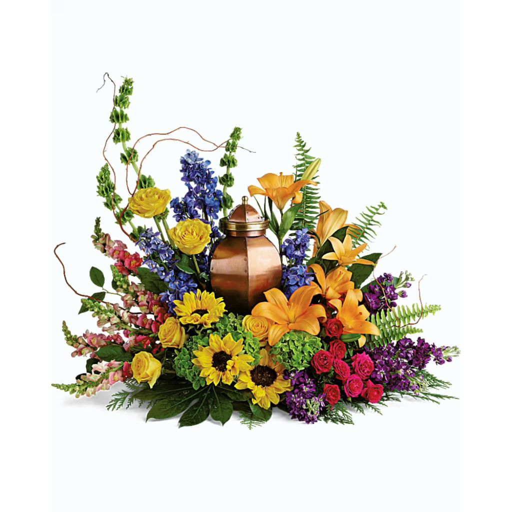 Colorful Reflections Collection