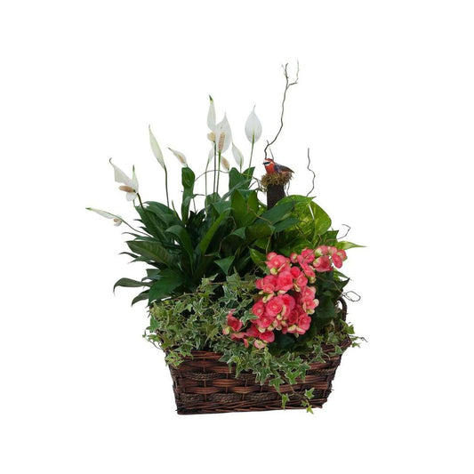 Living Blooming Garden Basket