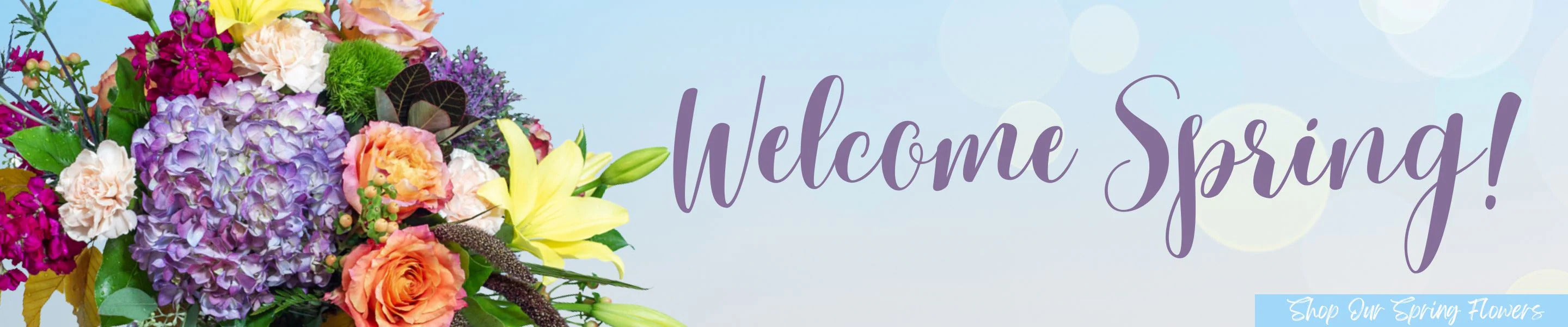 Welcome Spring Banner