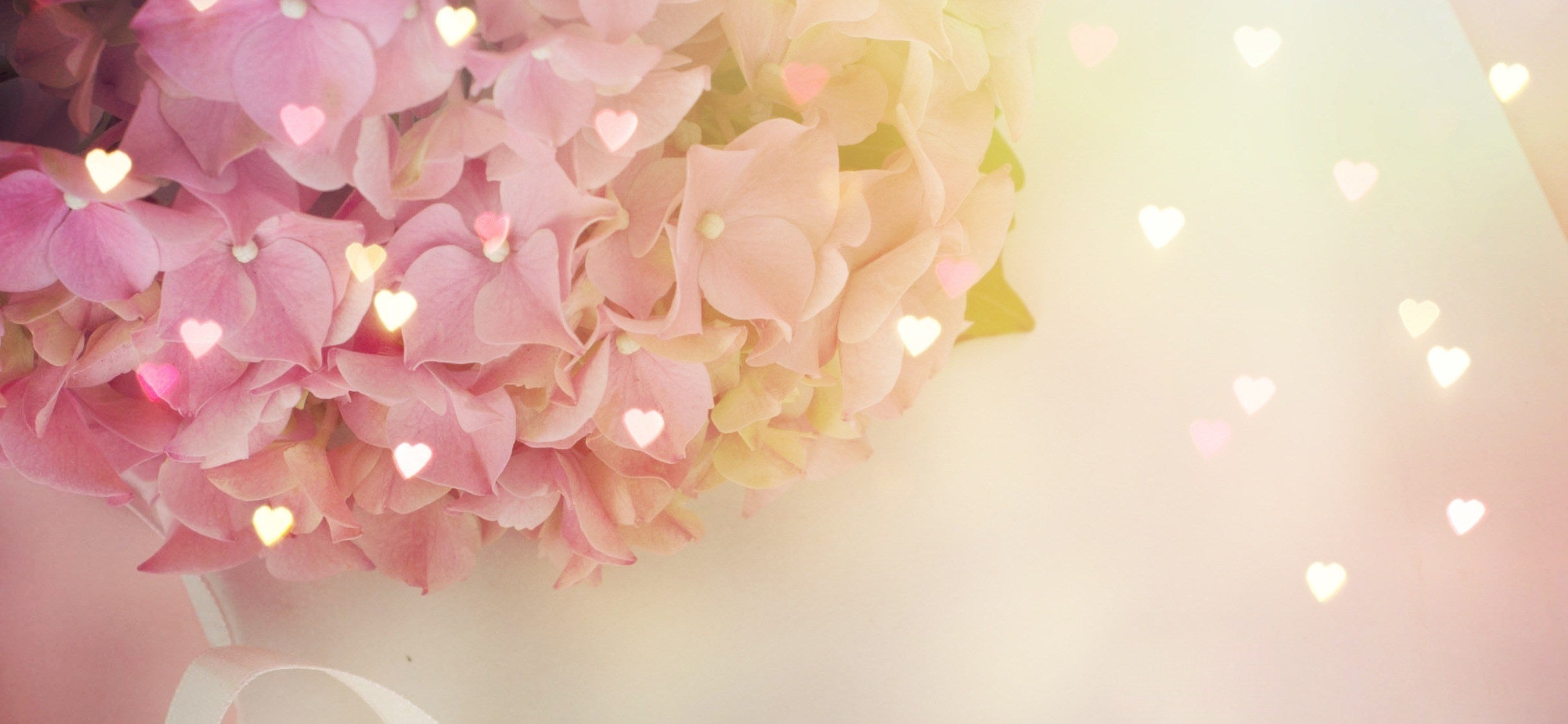 homepageBannerMetadata_Image_1777662427624.jpeg